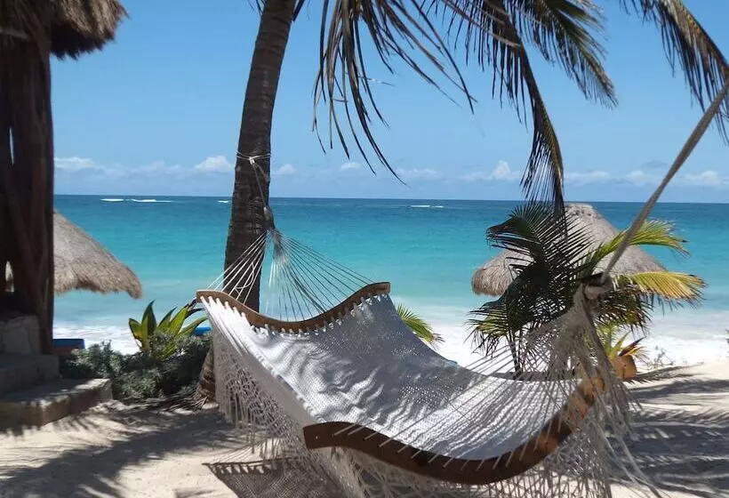 Lomakeskus Sol Caribe