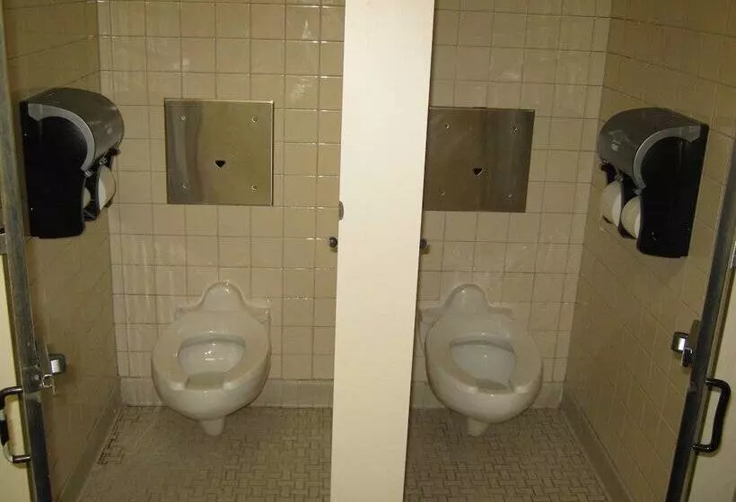 Unb Fredericton Summer Accommodations   Hostel