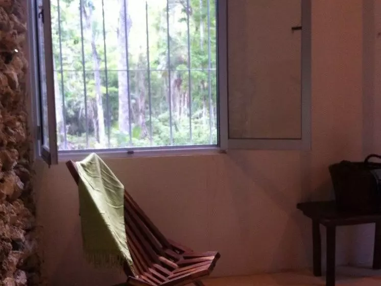 Hotel Mi Casa En La Jungla - Adults Only