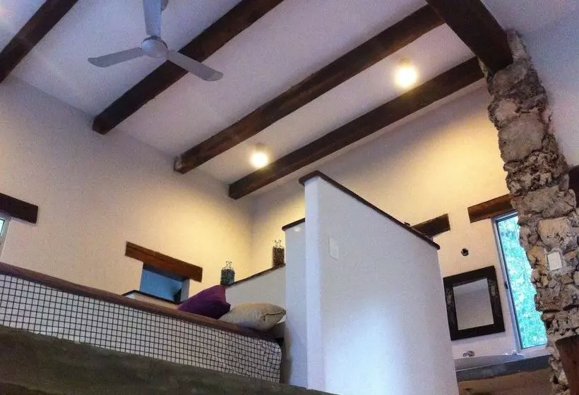 Hotel Mi Casa En La Jungla - Adults Only