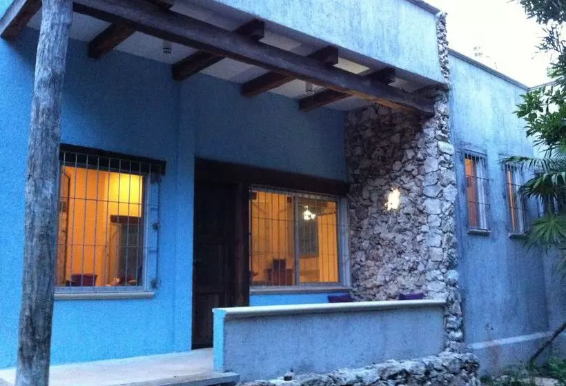 Hotel Mi Casa En La Jungla - Adults Only