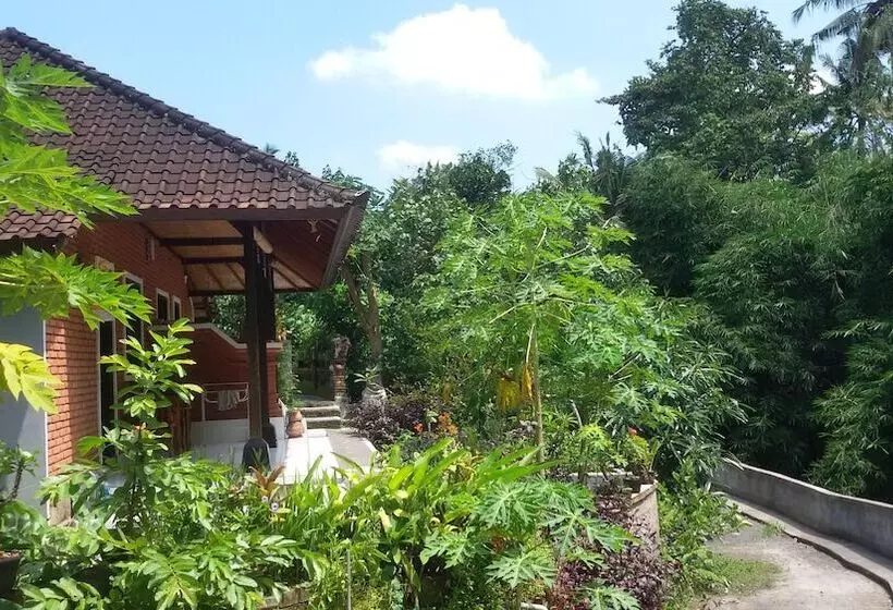 Pensiune Karma House