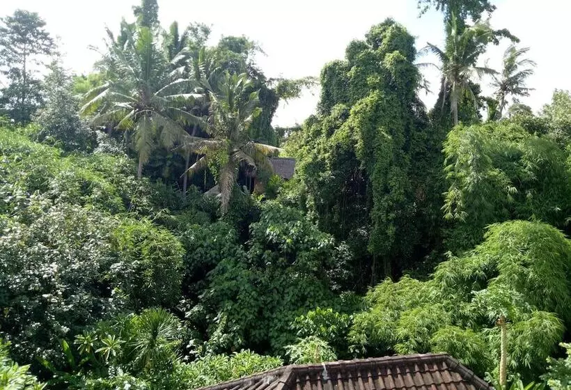 Pensiune Karma House