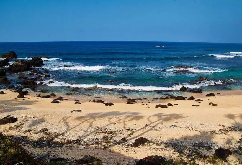 تختخواب و صبحانه Tanna Horizon Bungalows & Tours