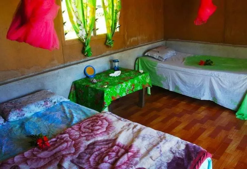 تختخواب و صبحانه Tanna Horizon Bungalows & Tours