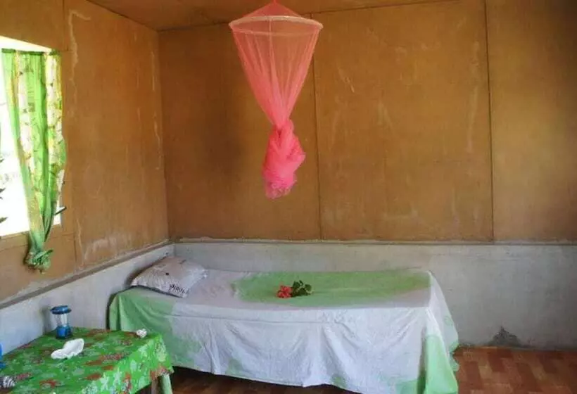 تختخواب و صبحانه Tanna Horizon Bungalows & Tours