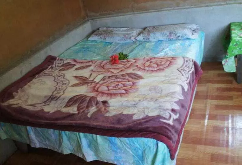 تختخواب و صبحانه Tanna Horizon Bungalows & Tours