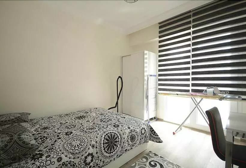 Eray Suite