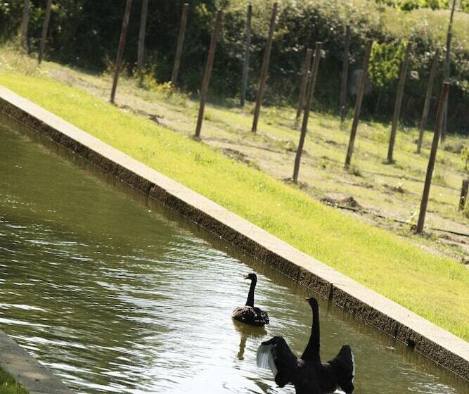 مسافرخانه Casa De Juste Lousada