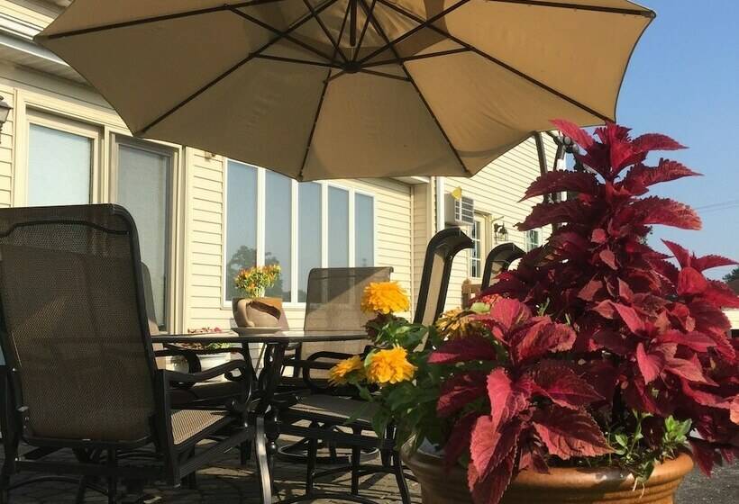 酒店 Homestead Lodging