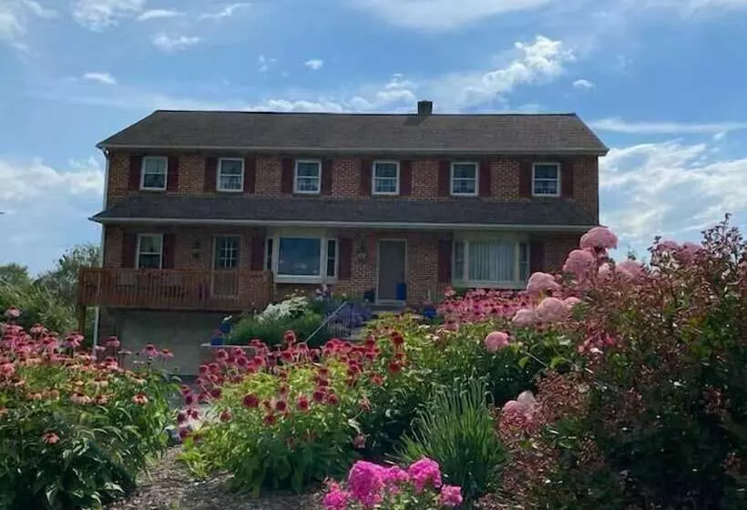 Hotelli Homestead Lodging