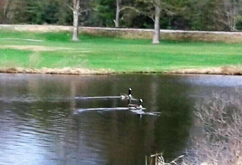 בית מלון כפרי Jack O Lantern Resort And Golf Course