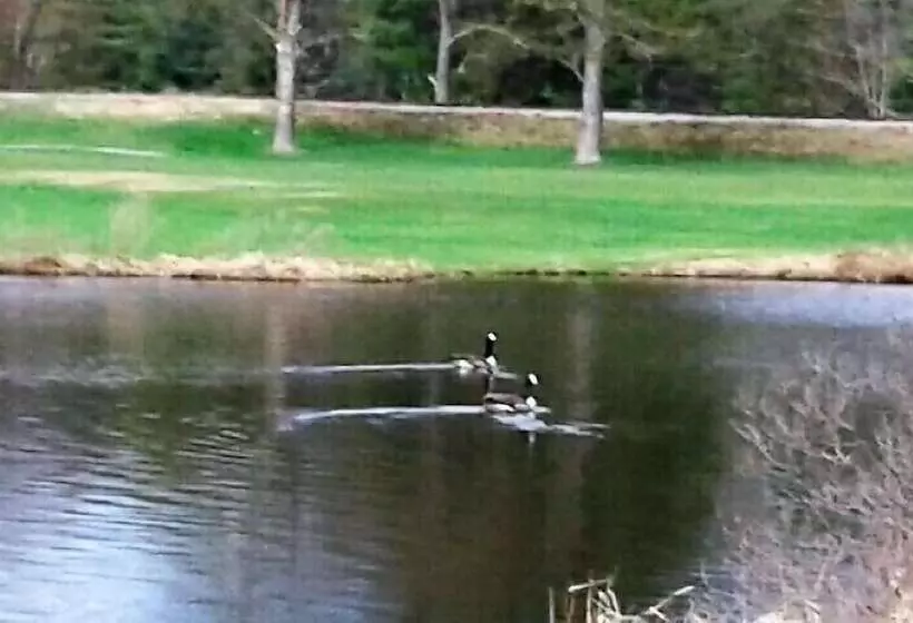 Hotelli Jack O Lantern Resort And Golf Course