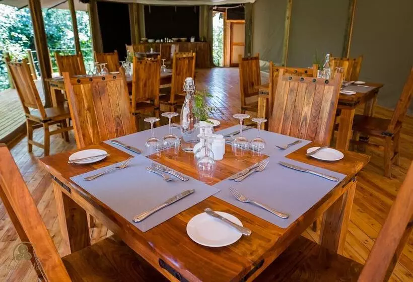 هتل Mara Treetops Luxury Camp