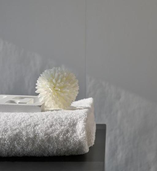 هتل Rmh Modena Raffaello