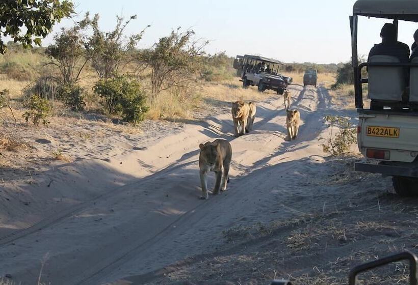 Отель Sedudu Mobile Camp