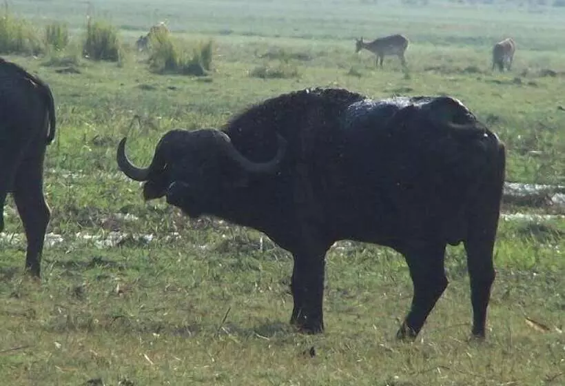 هتل Sedudu Mobile Camp