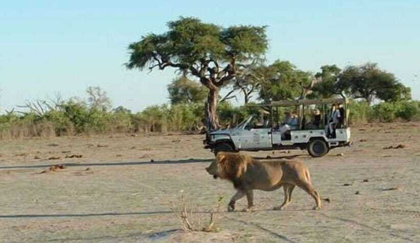 Отель Sedudu Mobile Camp