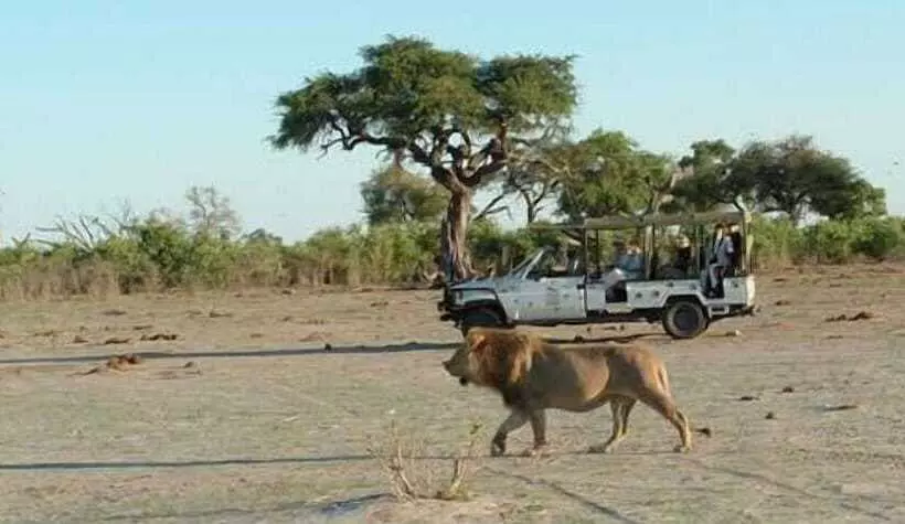 هتل Sedudu Mobile Camp