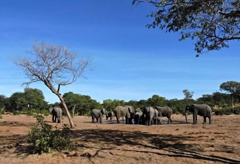 هتل Sedudu Mobile Camp