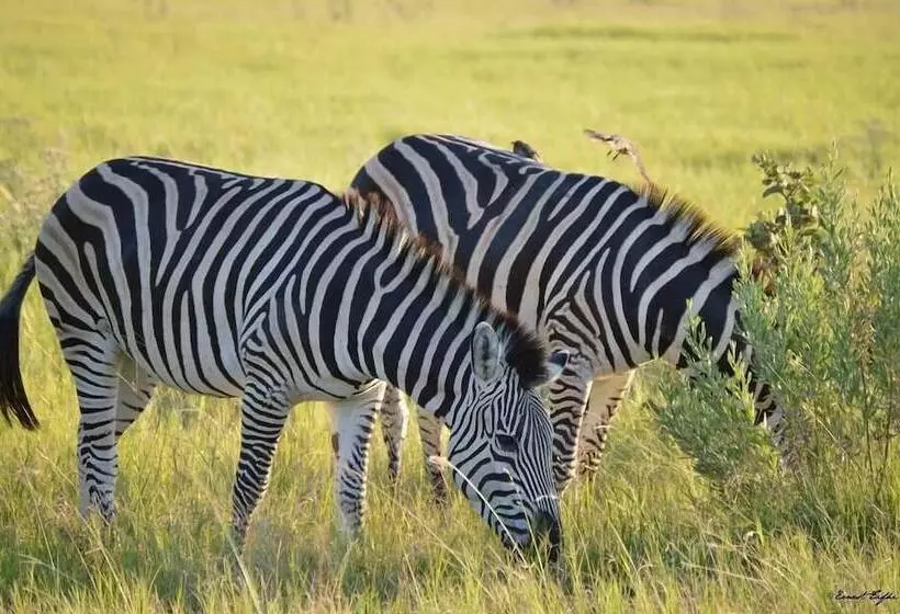 هتل Sedudu Mobile Camp