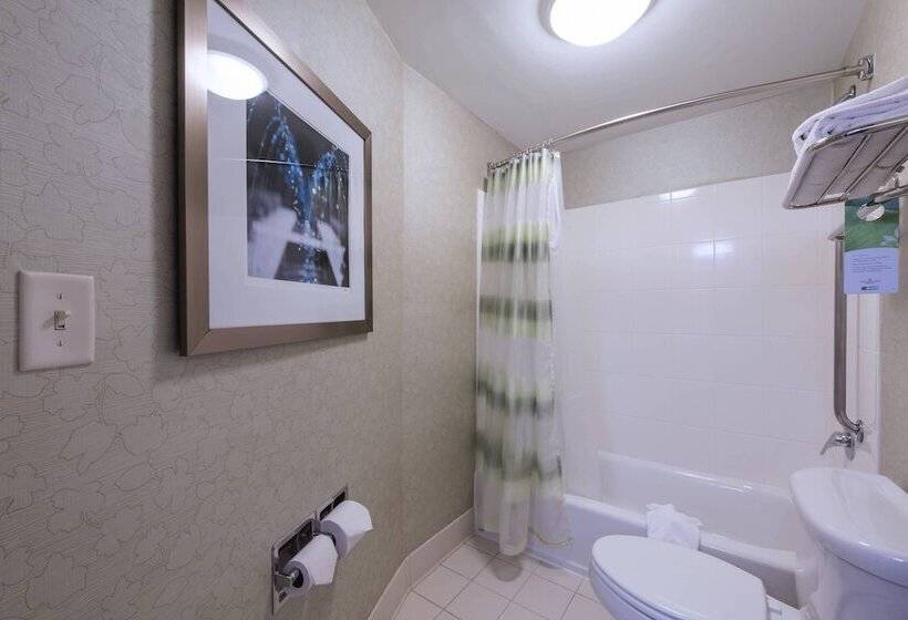 ホテル Springhill Suites Devens Common Center