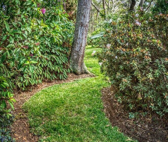 ペンション Crater Rim Cabin