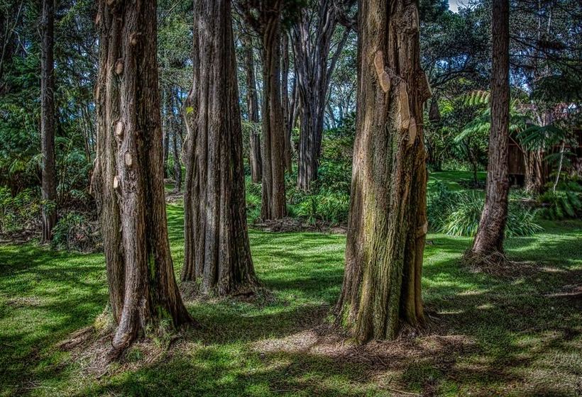 ペンション Crater Rim Cabin