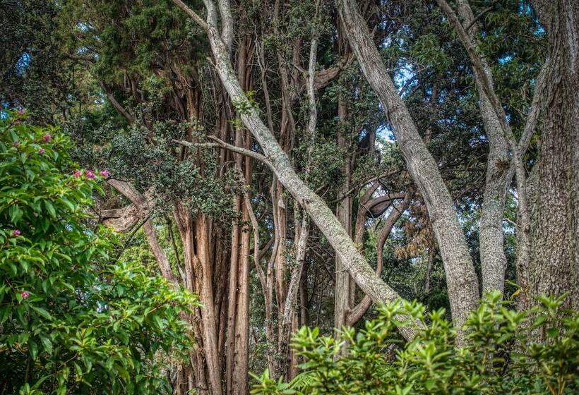 ペンション Crater Rim Cabin
