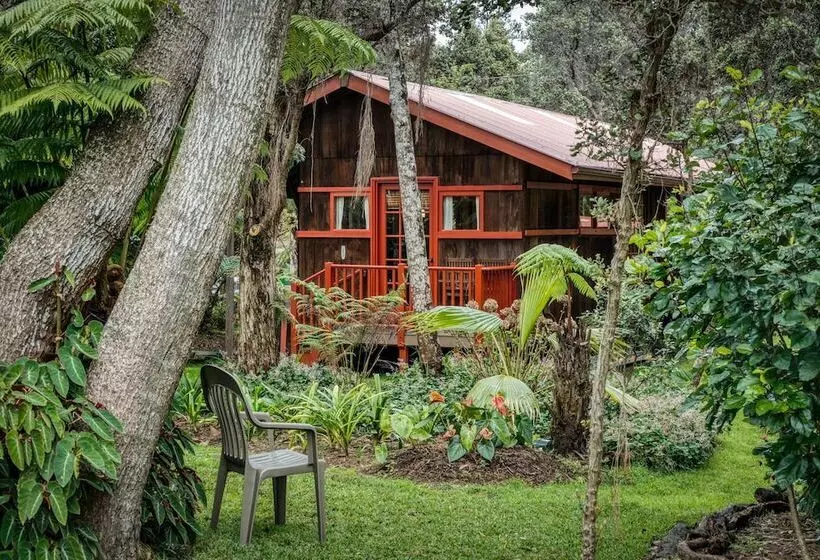 ペンション Crater Rim Cabin