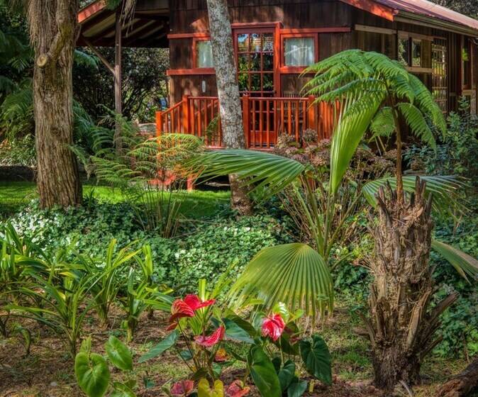 ペンション Crater Rim Cabin