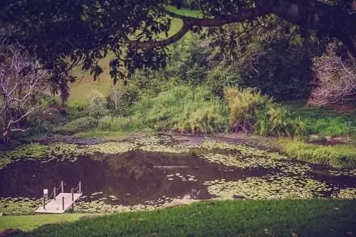 住宿加早餐 Allara Homestead