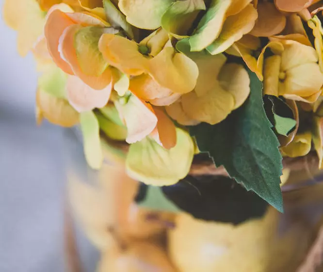 住宿加早餐 Allara Homestead