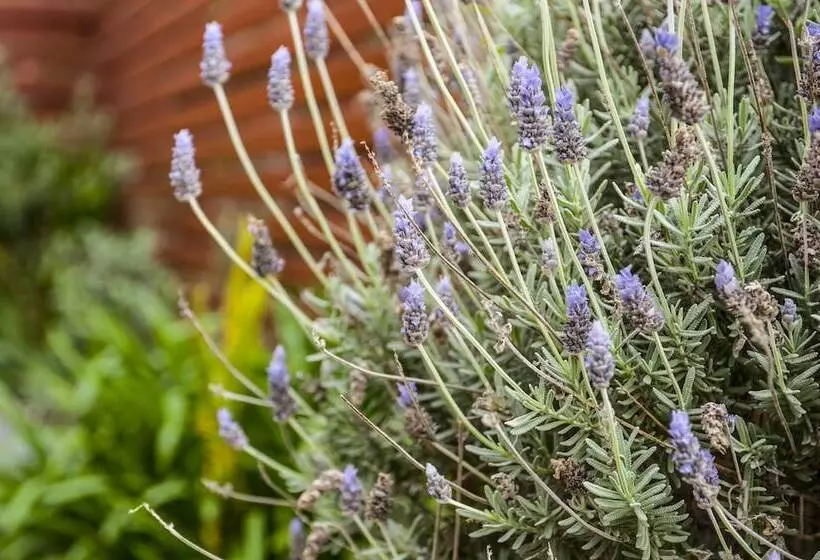 Healesville Apartments