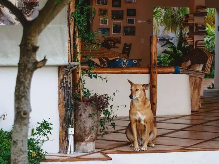 בית מלון כפרי Casa Babi