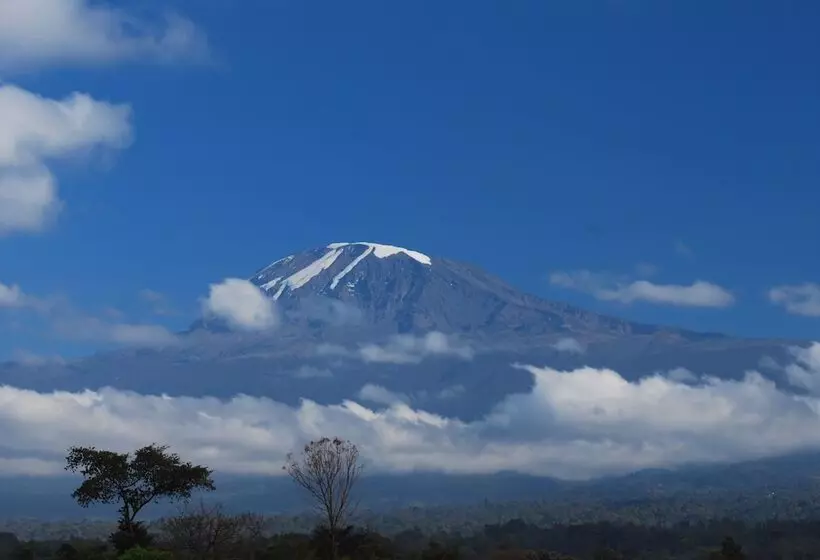 هتل Honey Badger Lodge