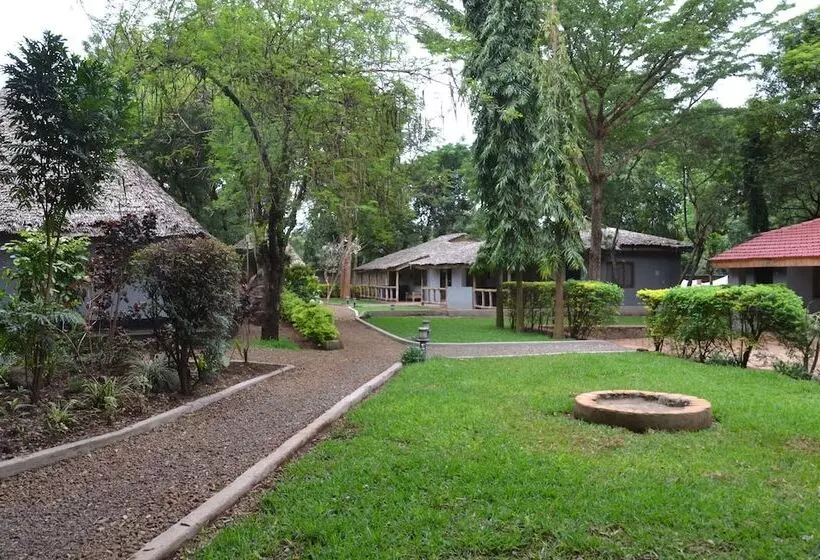 هتل Honey Badger Lodge