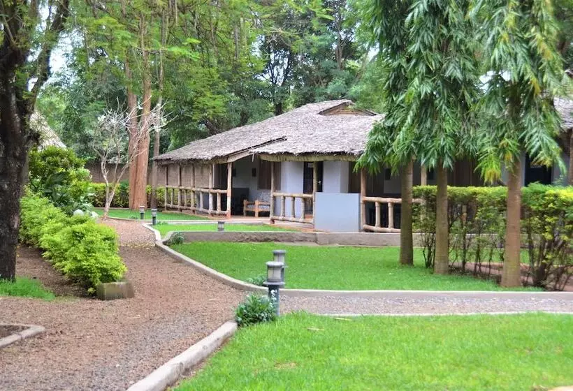 هتل Honey Badger Lodge