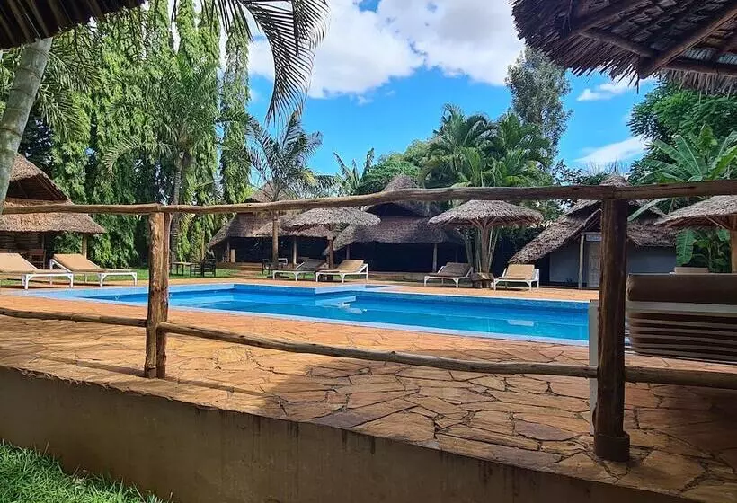 هتل Honey Badger Lodge