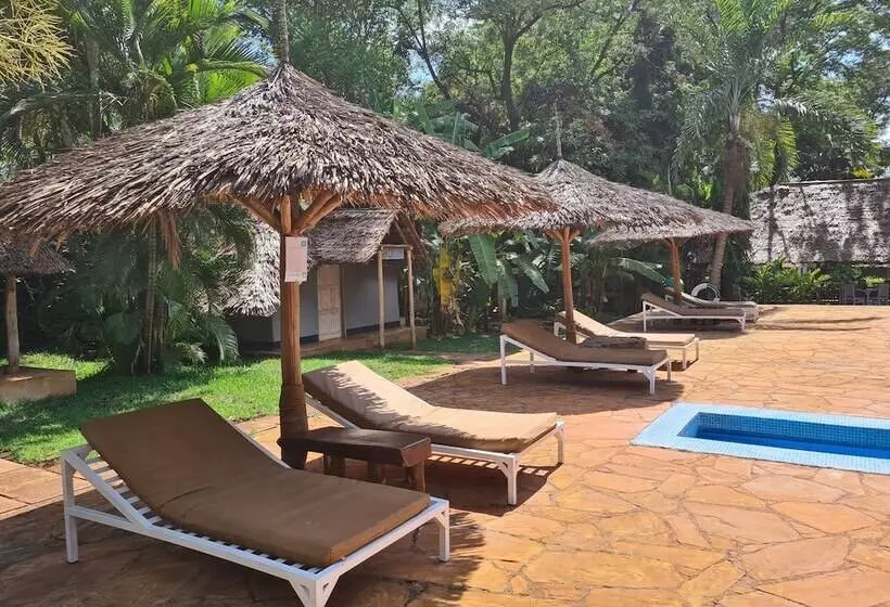 هتل Honey Badger Lodge