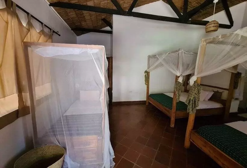 هتل Honey Badger Lodge