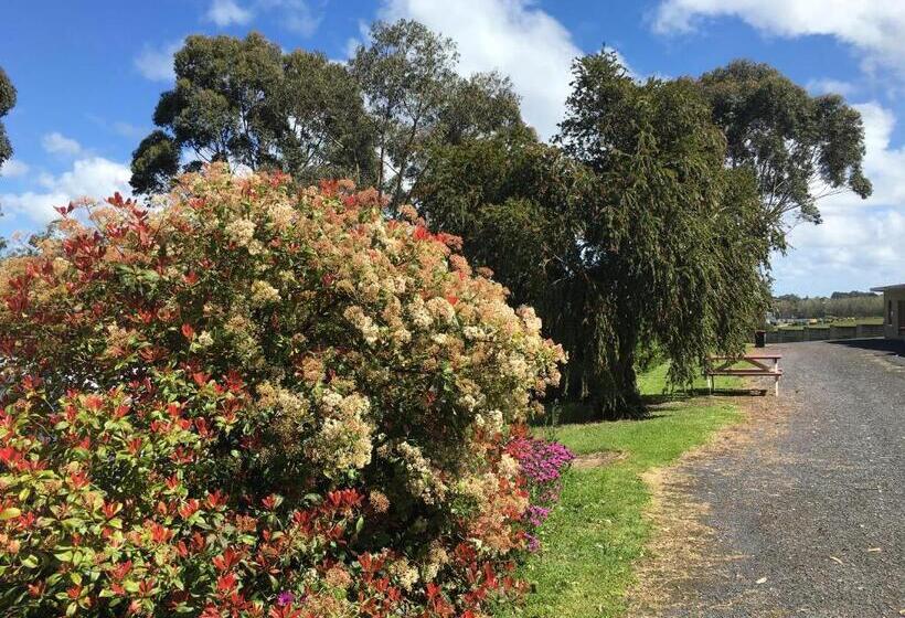 בית מלון כפרי Limestone Coast Tourist Park