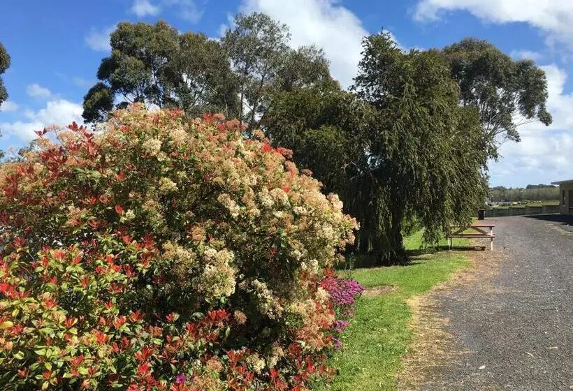 בית מלון כפרי Limestone Coast Tourist Park