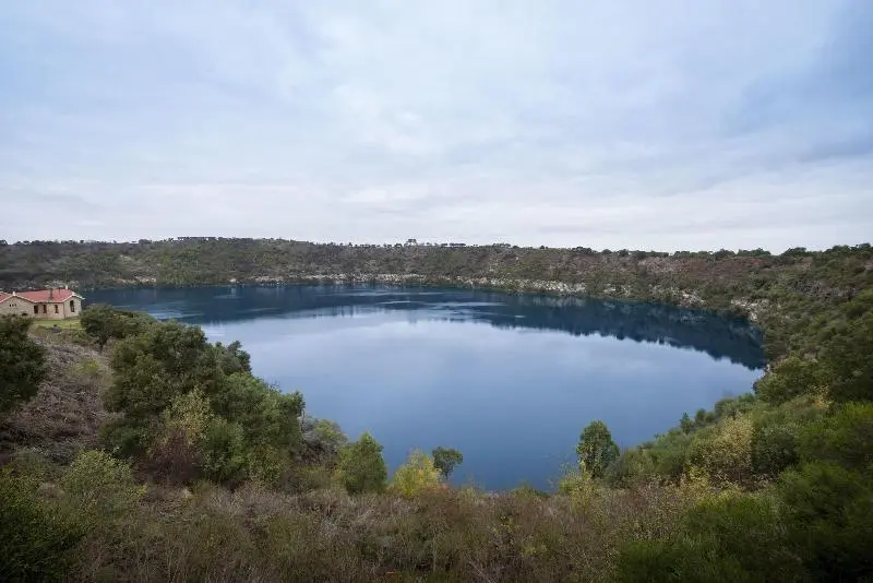 ホテル Limestone Coast Tourist Park