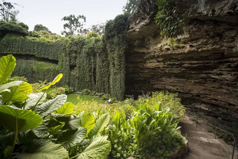 ホテル Limestone Coast Tourist Park