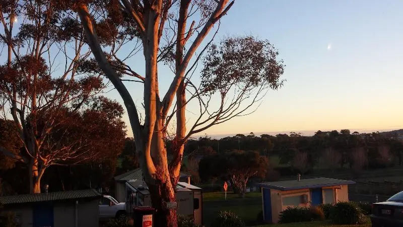 ホテル Limestone Coast Tourist Park