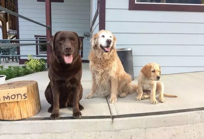 בית מלון כפרי Peaks Lodge