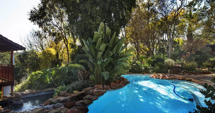 Отель The Oasis Boutique & Residency