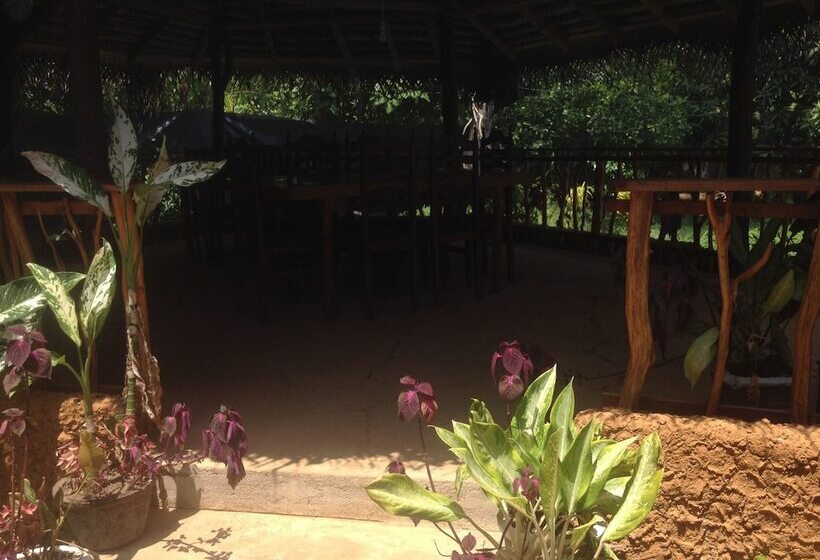 膳宿费 Home Feel Home Stay