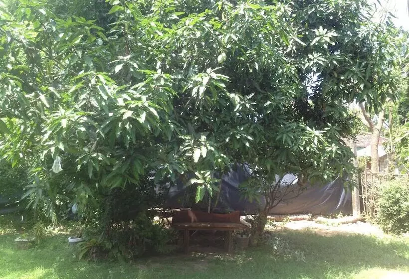 Pensão Home Feel Home Stay